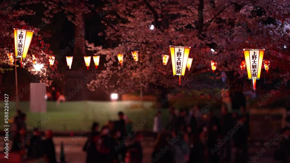 ライトアップされた上野恩賜公園さくら通りと夜桜を楽しむ人々(2023年3月) ライトアップされた上野恩賜公園さくら通りと夜桜を楽しむ人々(2023年3月)