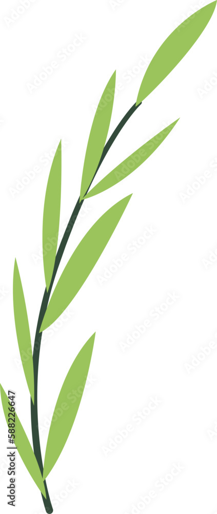 Naklejka premium Leaf Illustration