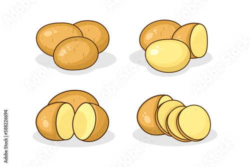 Obraz na płótnie Peeled and unpeeled whole potato vector image design illustration w salonie