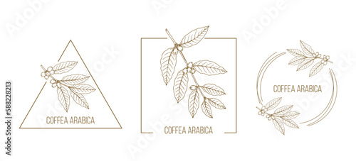 Set of coffee floral hand drawn logo templates