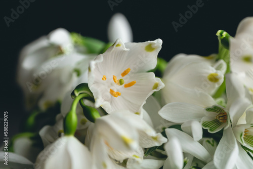 Bouquet of snowdrops on a blurred background.