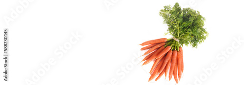 bunch of fresh carrots with leaf isolated on white background with copy space
