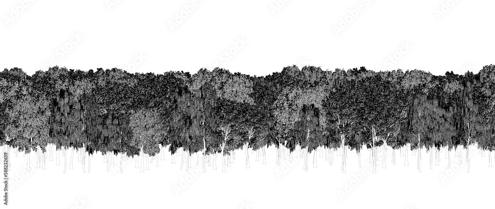 trees in the forest isolated on a transparent background, sketch, outline illustration, cg render