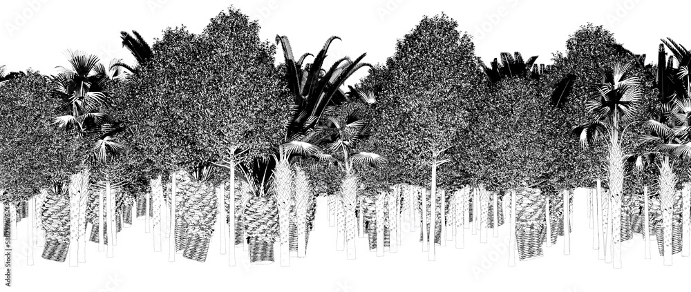 Fototapeta premium trees in the forest isolated on a transparent background, sketch, outline illustration, cg render