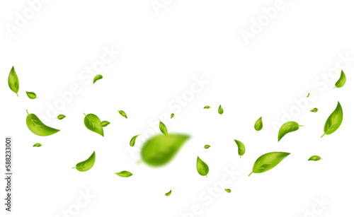 Green flying leaves.  Leaf falling on white background. Wave foliage ornament. Vegan, eco, design element. Organic frame. Cosmetic pattern border. Fresh tea banner. Beauty product. Vector illustration