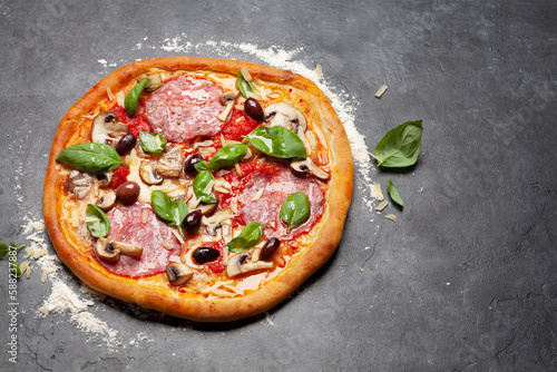 Italian cuisine. Pepperoni pizza