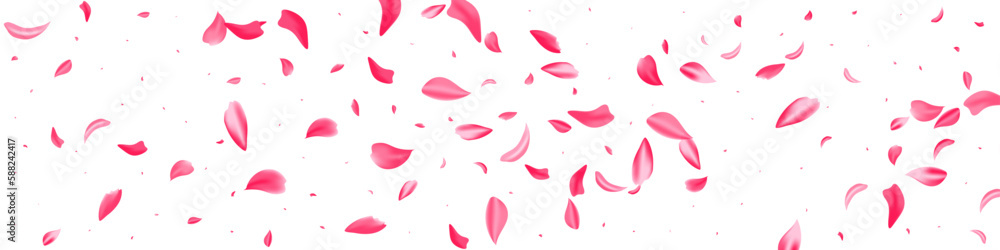 Red Rose Spring Vector Transparent Panoramic Red Rose Spring Vector Transparent Panoramic