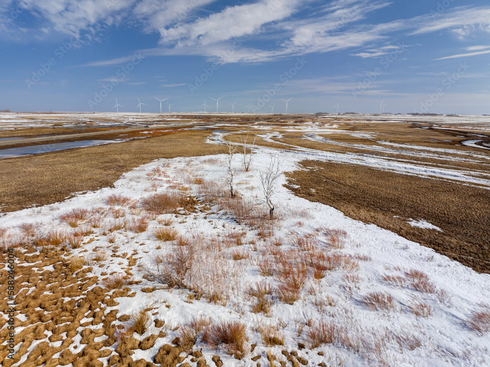 Kazakh steppe in early spring. On the horizon the wind turbines are seen.