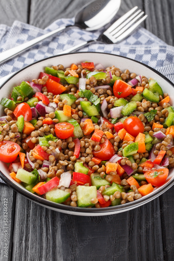 Spanish lentil salad with onions, carrots, cucumber, peppers and tomatoes close-up in a plate on a wooden table. Vertical Spanish lentil salad with onions, carrots, cucumber, peppers and tomatoes close-up in a plate on a wooden table. Vertical