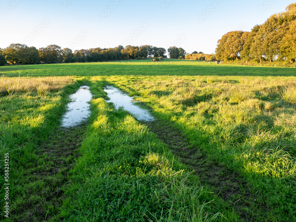 Puddle, tire track and meadows, countryside near Ootmarsum, Overijssel, Netherlands