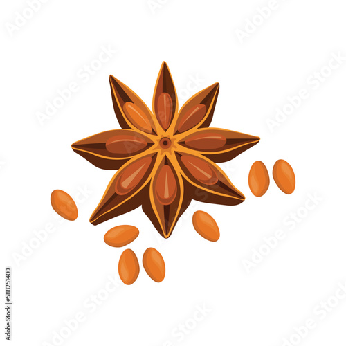 Vector illustration of star anise, star anise seed and cinnamon sticks. Star anise spice fruits and seeds isolated on white background closeup