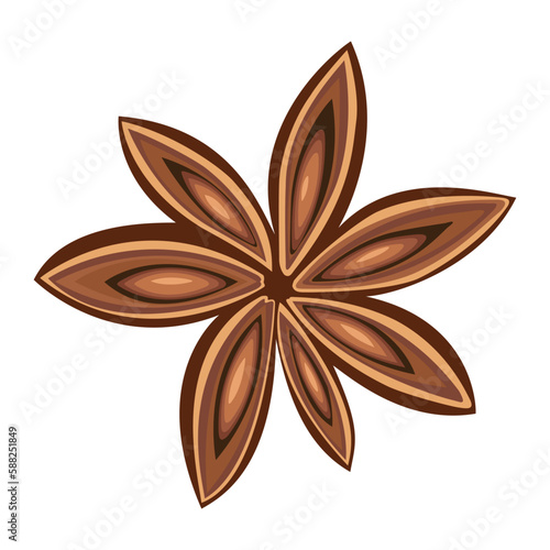 Vector illustration of star anise, star anise seed and cinnamon sticks. Star anise spice fruits and seeds isolated on white background closeup