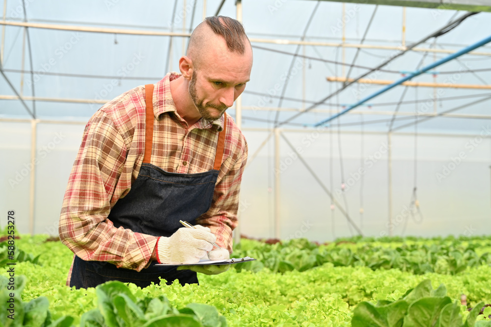 Farmer checking organic vegetable and recording farming data on digital tablet. Innovation. Smart farm system concept Farmer checking organic vegetable and recording farming data on digital tablet. Innovation. Smart farm system concept