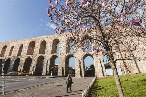 Old stone aqueduct and blooming magnolias in Istanbul Turkey