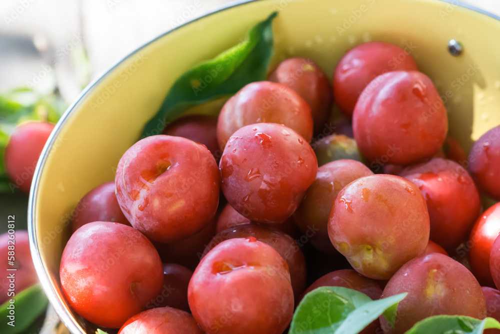 Red fresh ripe plums with water drops in yellow strainer on wooden table outdoors, organic plums served for eating, healthy food and fruit  concept