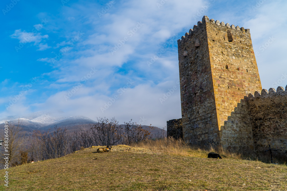 The 13th-century Ananuri Fortress in Dusheti, Georgia
The 13th-century Ananuri Fortress in Dusheti, Georgia