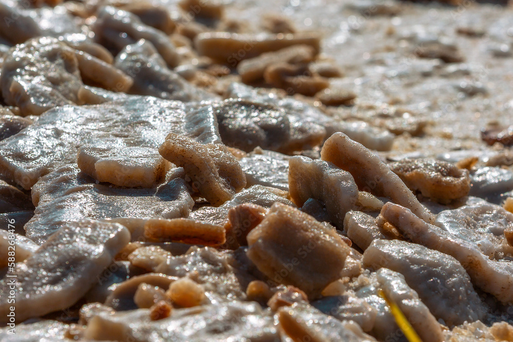 Close-up of Dead Sea salt mineral natural formation crystals in Jordan Close-up of Dead Sea salt mineral natural formation crystals in Jordan
