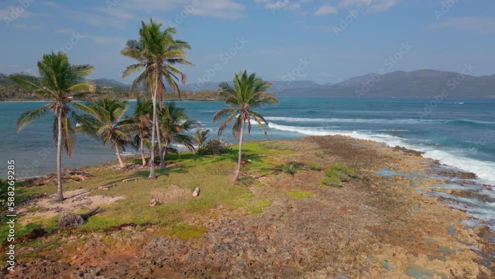 Waves crashing on the shore of a blue lagoon with palm trees in las galeras Waves crashing on the shore of a blue lagoon with palm trees in las galeras