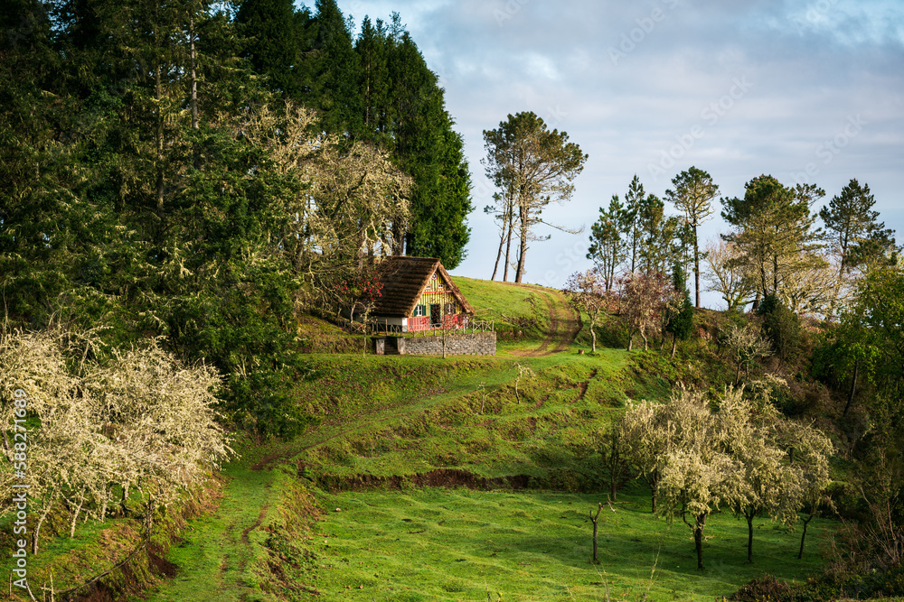 Obraz premium Taditional houses in Queimadas Forest Park in Santana, Madeira near Caldeirao Verde waterfall, Portugal.