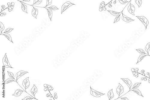シンプルな手描きの植物の線画イラストフレーム