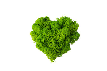 World earth day concept with green plant heart on transparent background , flat lay, top view, banner