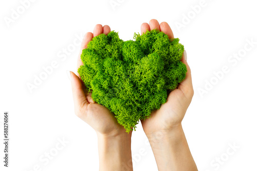 World earth day concept with hands holding green plant heart on transparent background , flat lay, top view, banner