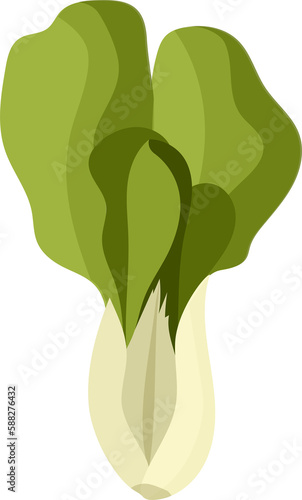 Pak Choi