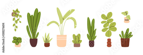Potted home plants set. Abstract leaf houseplants, green interior decorations. Home and office decor growing in planters, house flowerpots. Flat vector illustrations isolated on white background