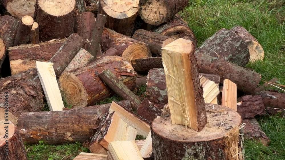 A man chopping wood with an axe on a stump. A man chopping wood with an axe on a stump.