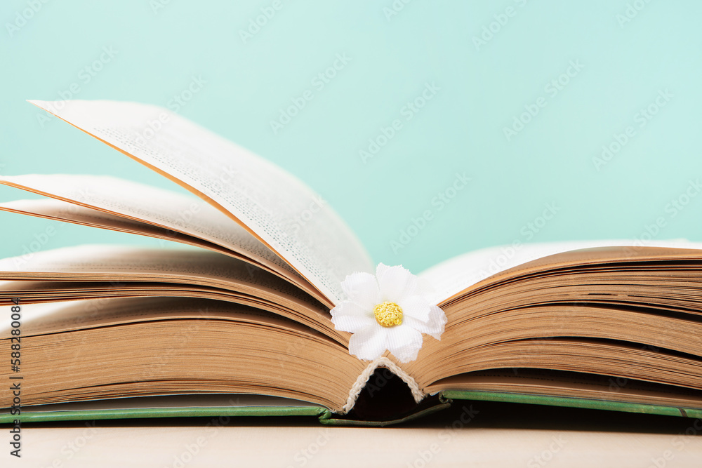 Naklejka premium World book and Copyright day, Education concept on Blue Mint Background.