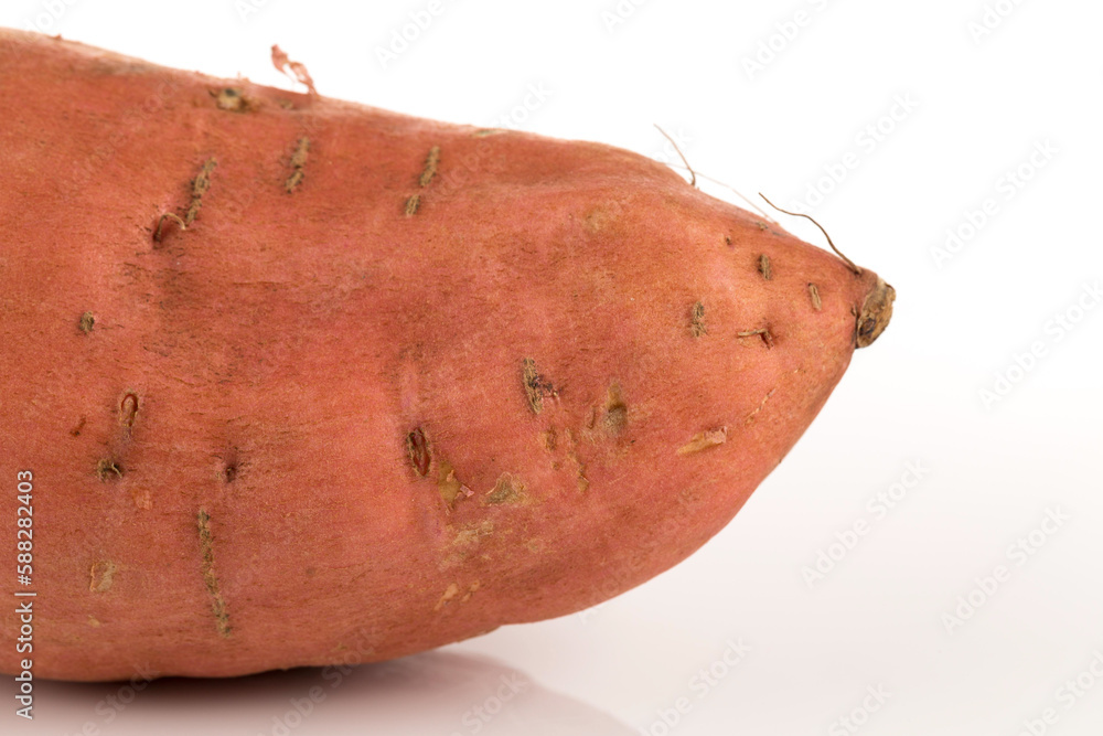 Sweet potato on the white background Sweet potato on the white background