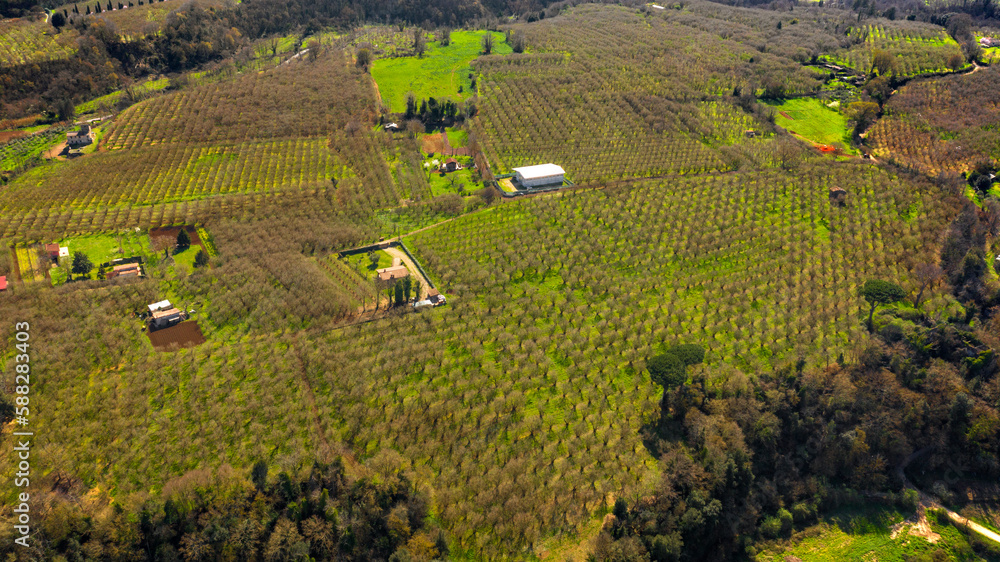 Aerial view over cultivated fields. Agriculture concept. Aerial view over cultivated fields. Agriculture concept.