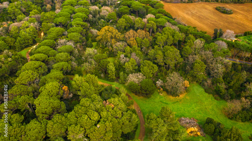 Aerial view on a forest between fields