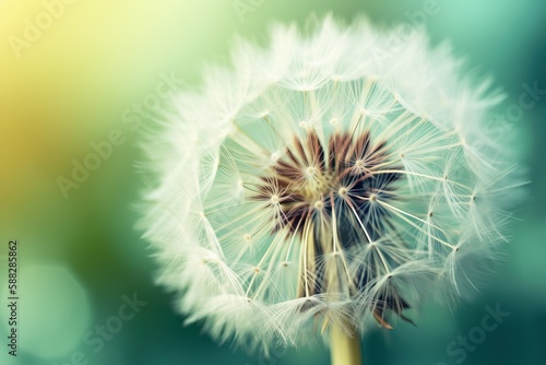  a close up of a dandelion with a blurry back ground and a blurry back ground behind the dandelion is a blurry background.  generative ai