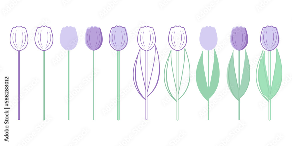 Flowers on a white background. Set of colorful tulips isolated on white. Drawing, painting, coloring. Symbol, sign, decoration, icon.