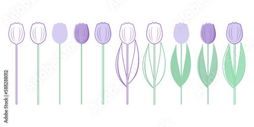Flowers on a white background. Set of colorful tulips isolated on white. Drawing, painting, coloring. Symbol, sign, decoration, icon.