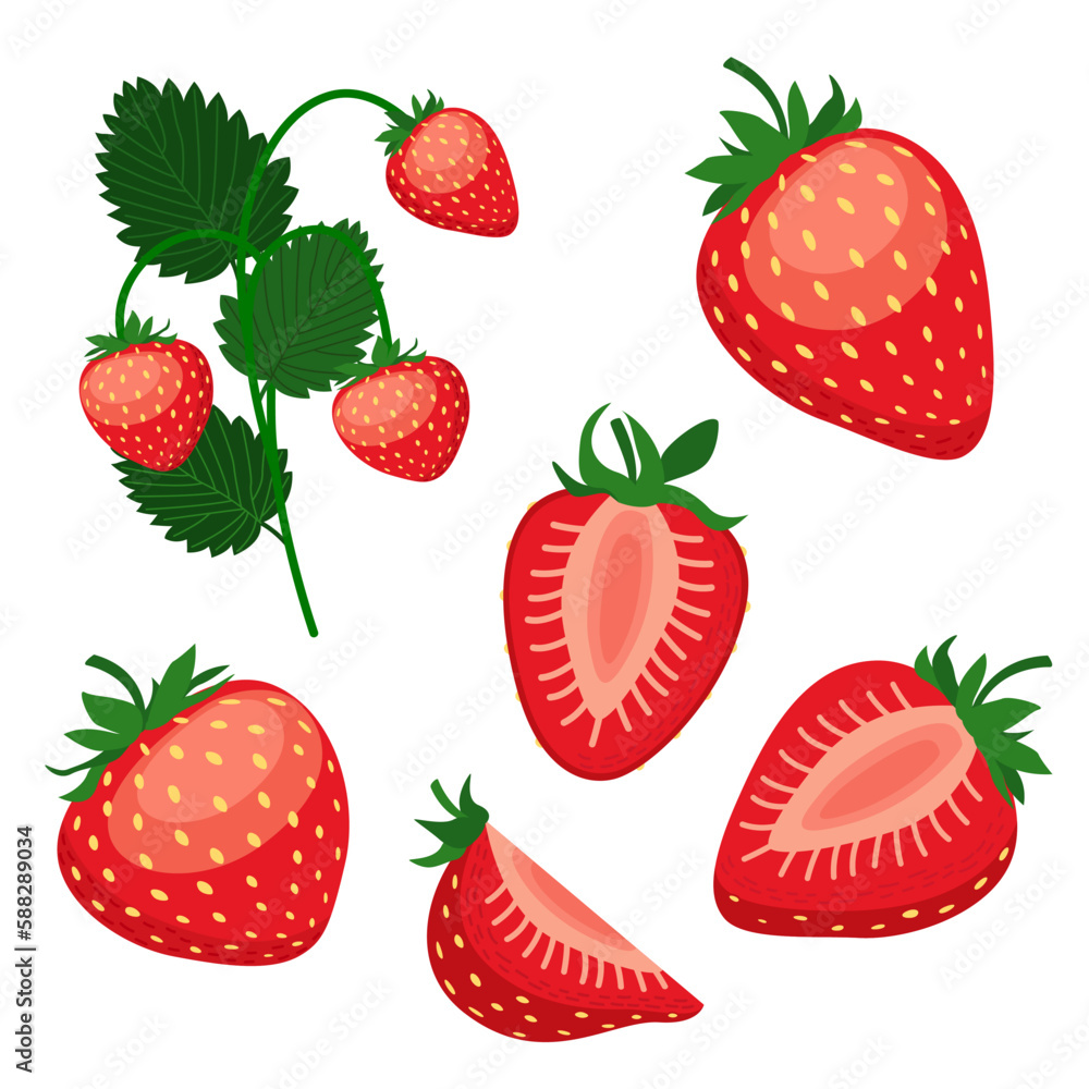Vector illustration of a set of ripe strawberries, pieces. fruit slices and leaves. Fruit illustration in flat style isolated on white background. Vector illustration of a set of ripe strawberries, pieces. fruit slices and leaves. Fruit illustration in flat style isolated on white background.