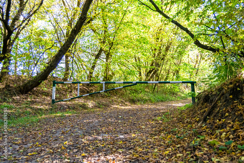 Photography on theme beautiful footpath in wild foliage woodland © oleg525