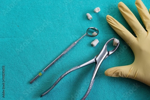 Closeup of removed teeth with extraction forceps with the blue disposable field in the background