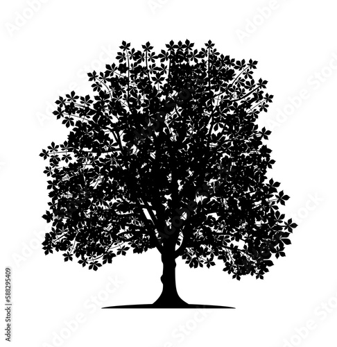 Vector silhouette of chestnut tree. Isolated vector silhouette of chestnut tree on a white background. photo