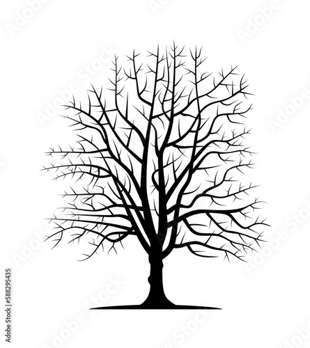 Drawn vector silhouette of chestnut trunk. Isolated vector silhouette of chestnut trunk on a white background. Vector illustration. © Andrey