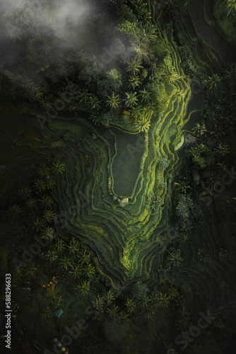 Aerial view of Tegalalang rice terraces with fog, Tegallalang, Ubud, Gianyar, Bali, Indonesia. photo