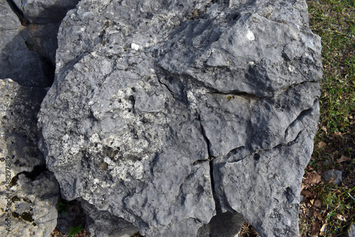 Jurassic (Kimmeridgian) ool...
