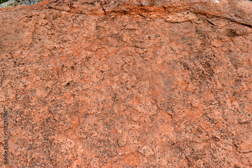 Pink limestone called Caliza del Danés. Paleocene. 63 Mya
