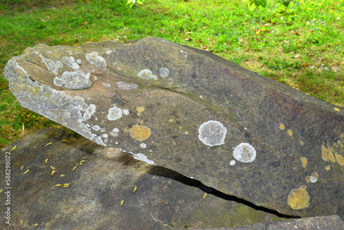 Calcareous sandstone. Creta...