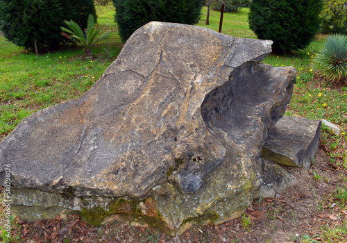 Bild auf Leinwand Limestone in turbiditic facies. Eocene, Lutecian. 4 Mya.