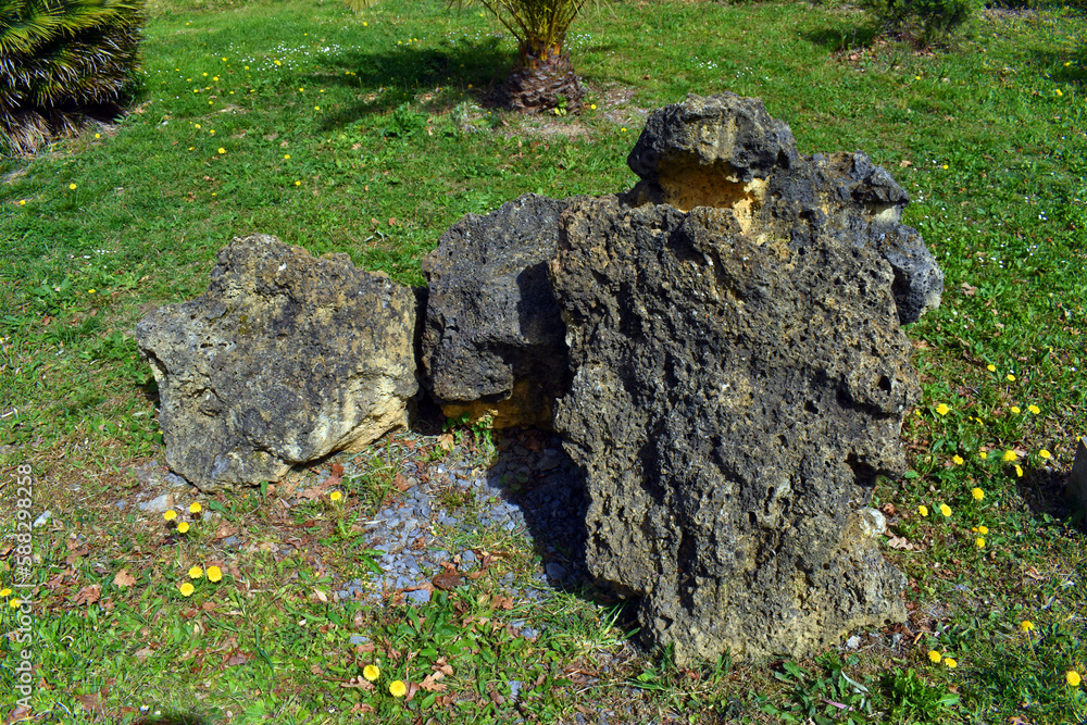 Carniola, a carbonate and evaporitic sedimentary rock from the J Carniola, a carbonate and evaporitic sedimentary rock from the J