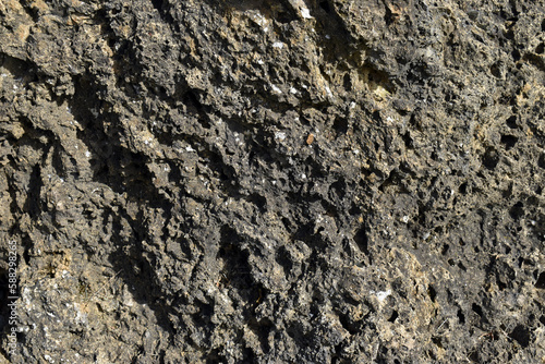 Carniola, a carbonate and e...