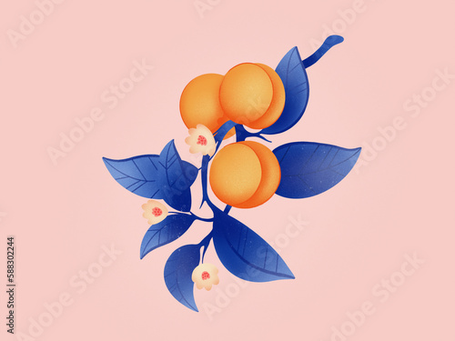 Colorful illustration of apricot brunch with juicy fruits