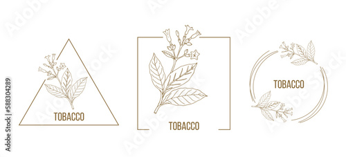 Tobacco floral hand drawn logo template